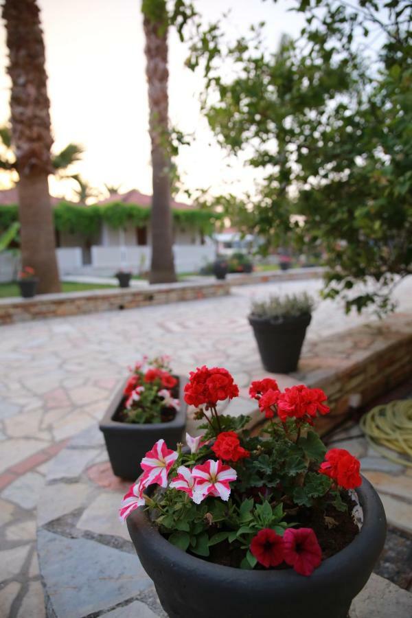 Margarita Hotel Лаганас Екстер'єр фото
